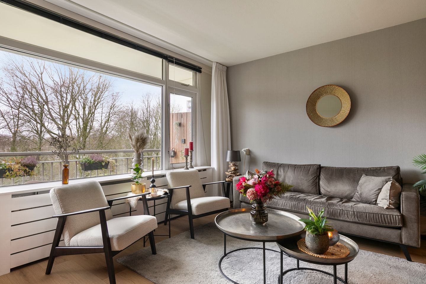 Photo 10 of Petmolen 23