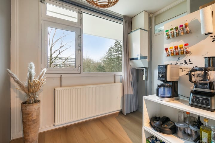 Foto 16 van Petmolen 23