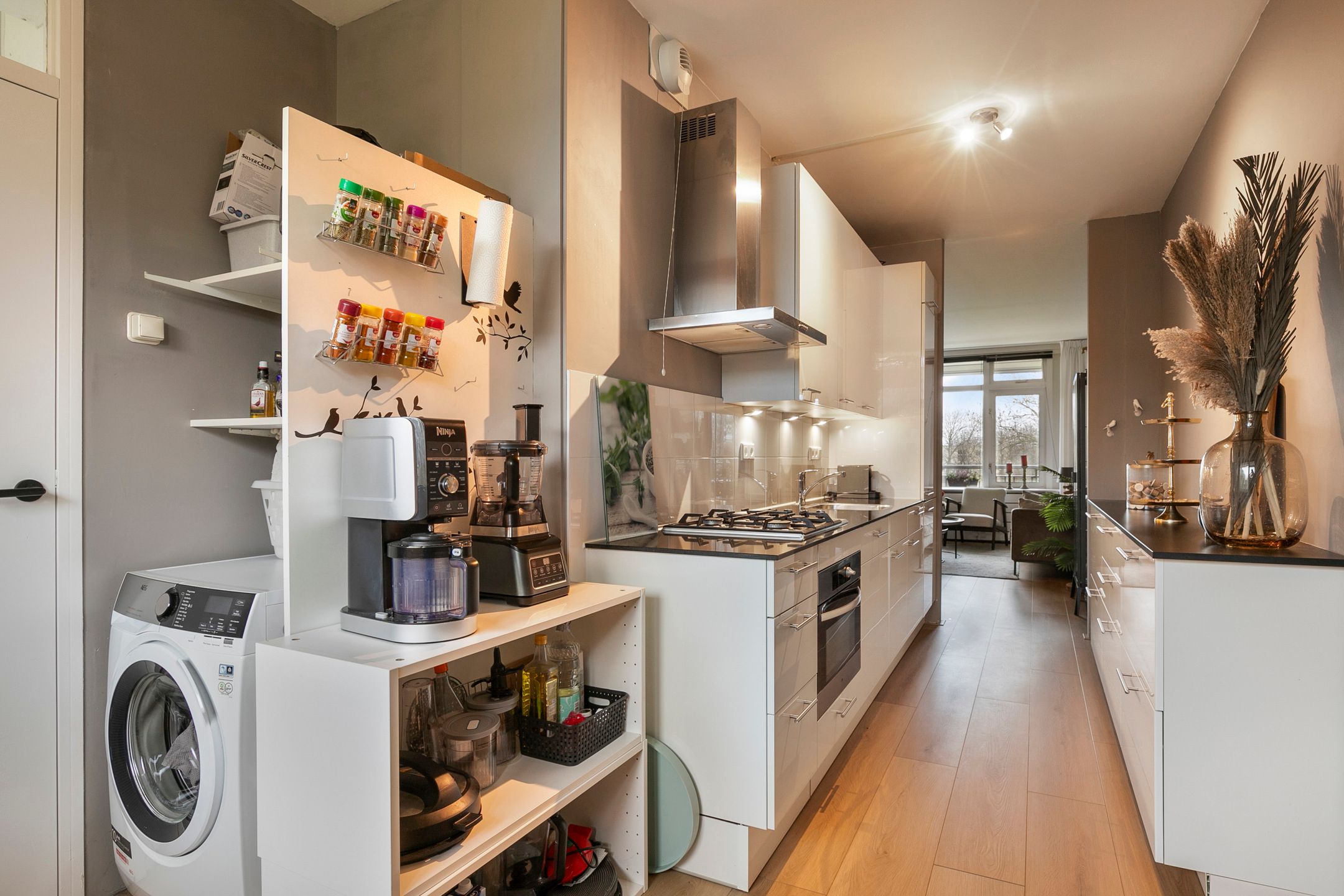 Photo 15 of Petmolen 23