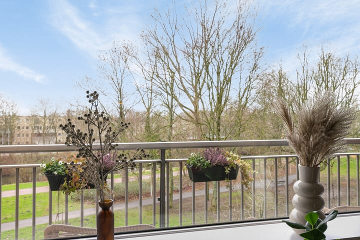 Foto 38 van Petmolen 23