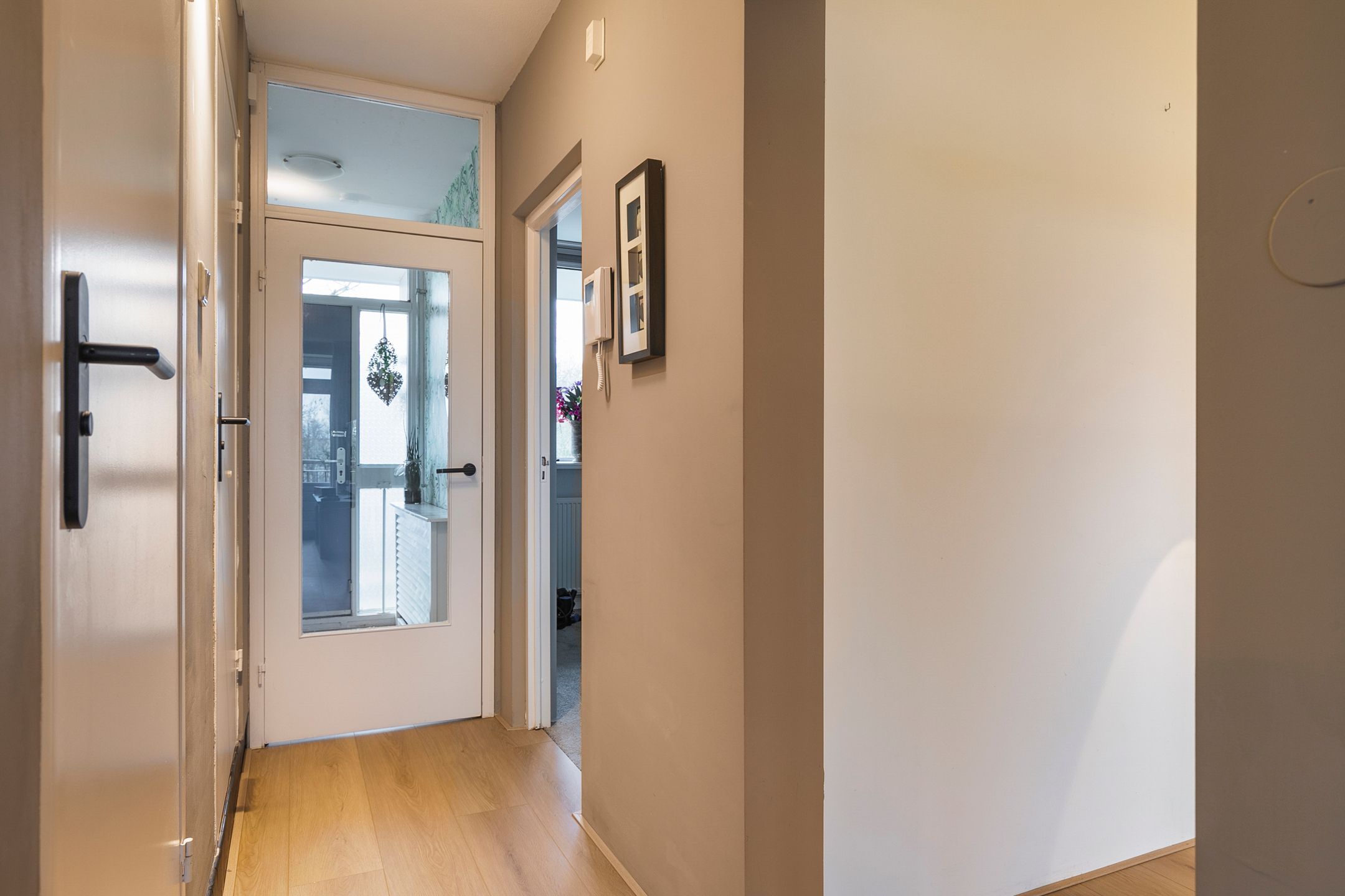 Photo 27 of Petmolen 23