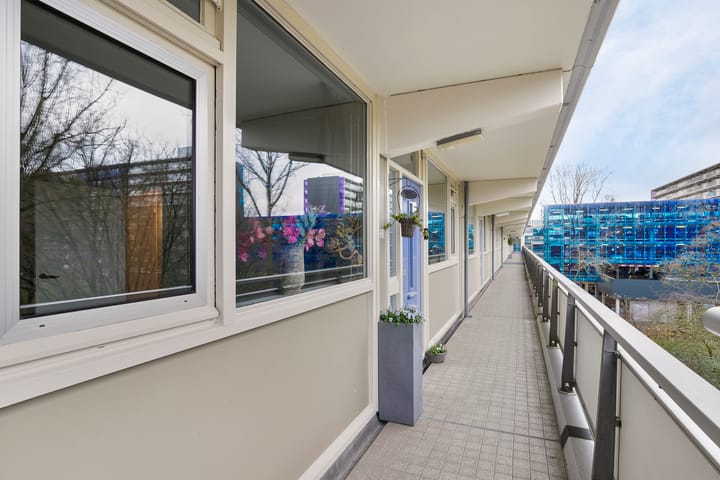 Foto 39 van Petmolen 23