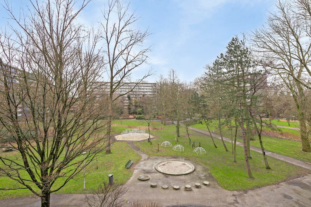 Photo 11 of Petmolen 23