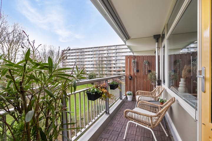 Foto 12 van Petmolen 23