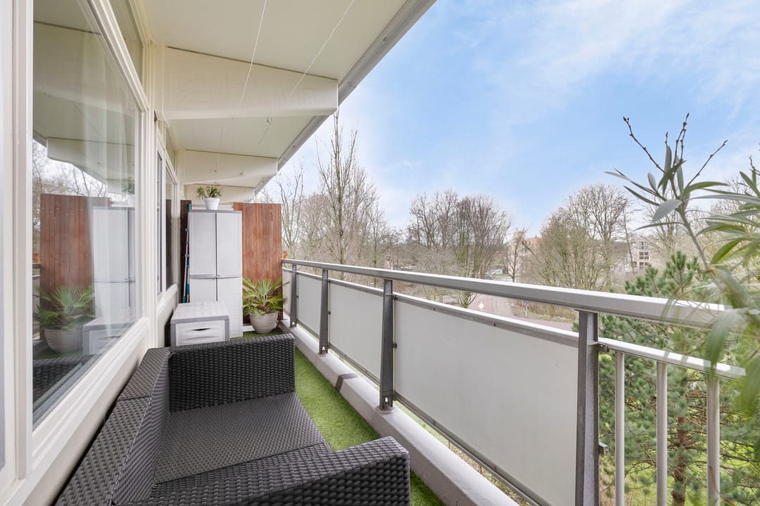 Photo 13 of Petmolen 23