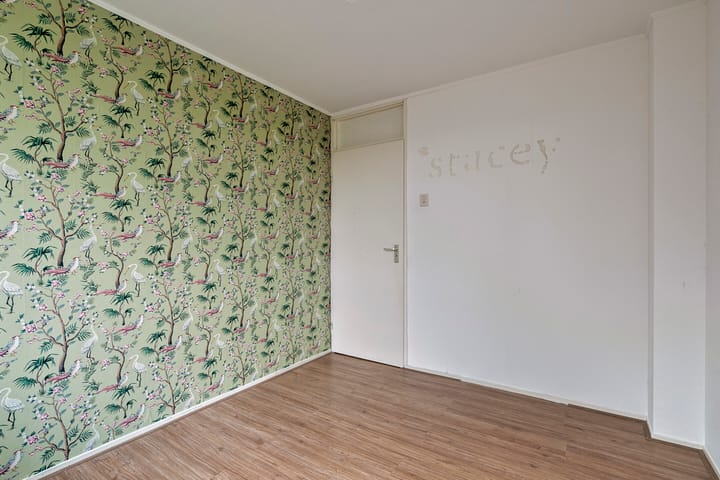 Foto 24 van Klaproos 4