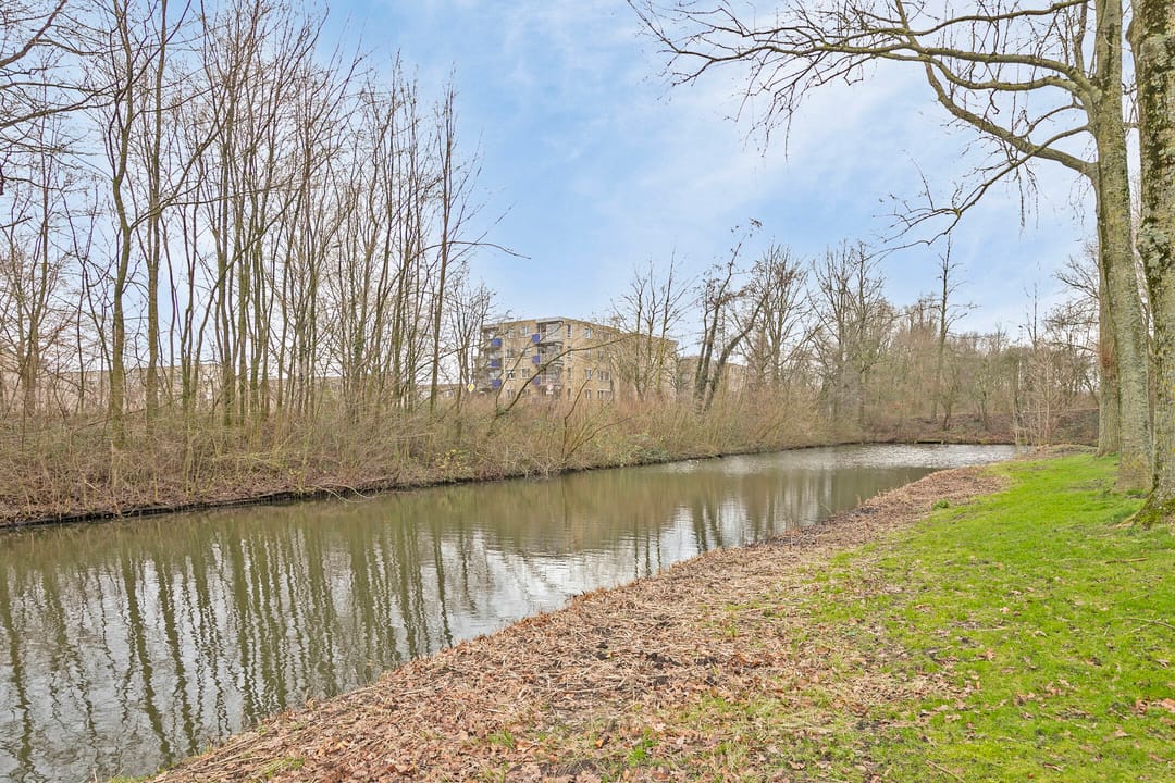 Photo 32 of Petmolen 23