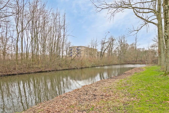 Foto 32 van Petmolen 23