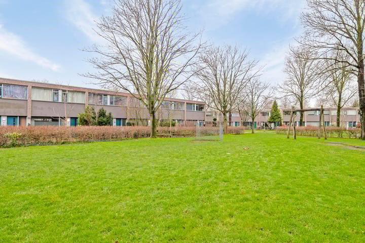 Foto 40 van Klaproos 4