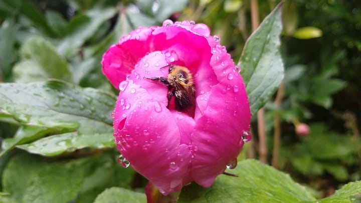 Foto 26 van Hoofdweg 84