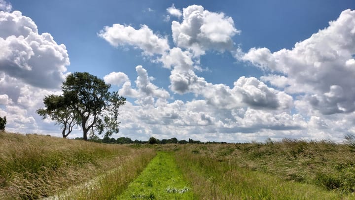 Foto 49 van Hoofdweg 84