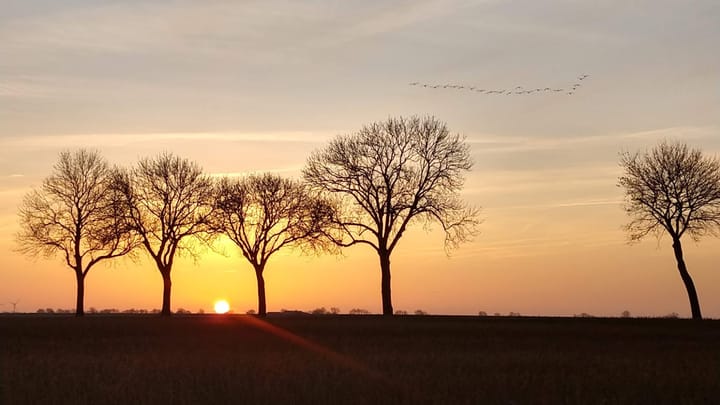 Foto 51 van Hoofdweg 84