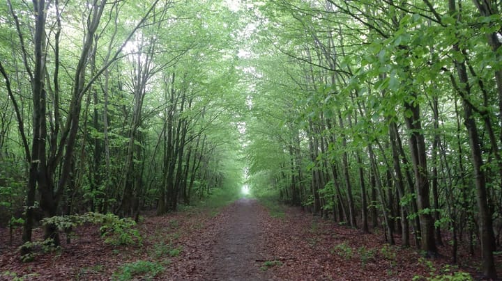 Foto 53 van Hoofdweg 84