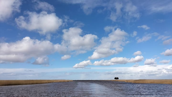 Foto 54 van Hoofdweg 84