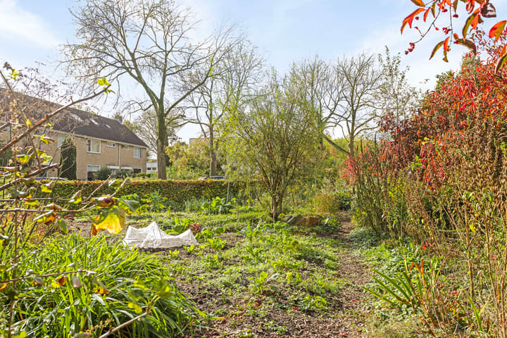 Foto 29 van Troelstralaan 14