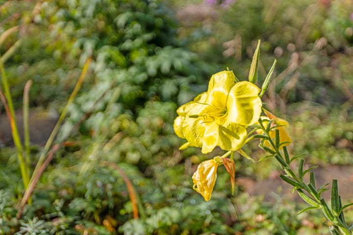 Foto 30 van Troelstralaan 14