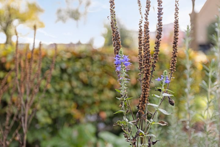 Foto 32 van Troelstralaan 14