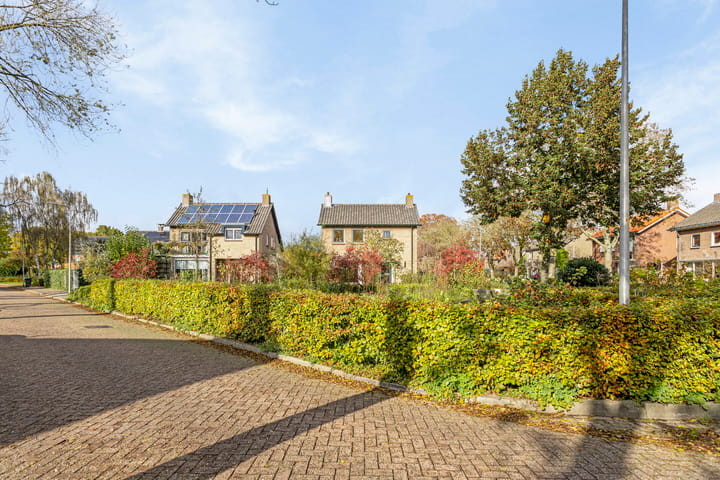 Foto 36 van Troelstralaan 14