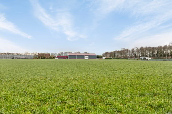 Foto 30 van Herelsestraat 142