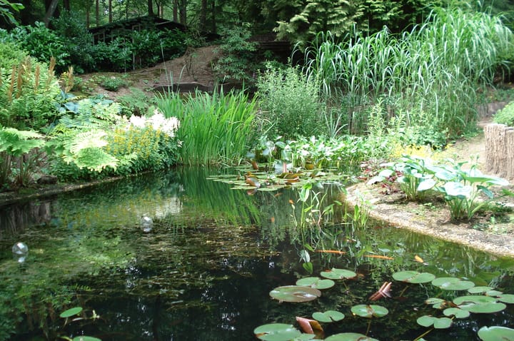 Foto 54 van Eekhoornweg 10