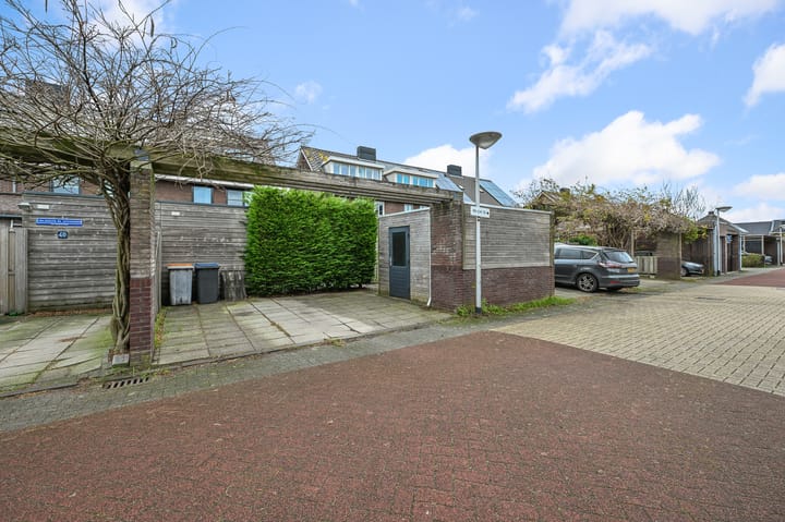 Foto 3 van Veldmuis 38