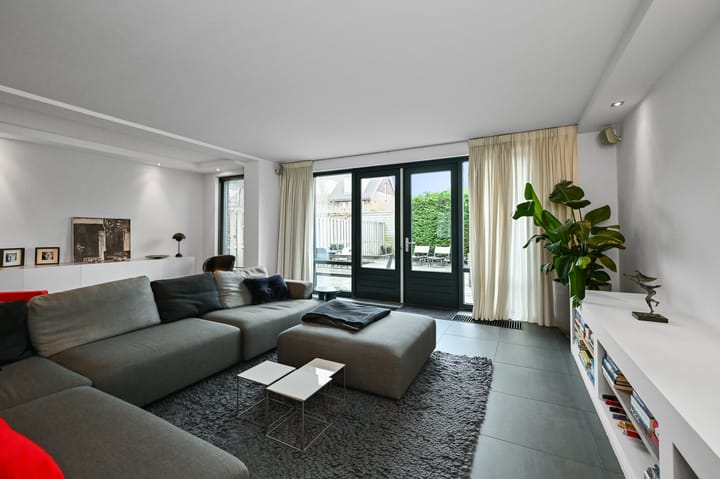 Foto 11 van Veldmuis 38