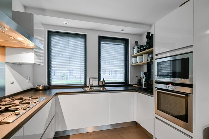 Foto 15 van Veldmuis 38