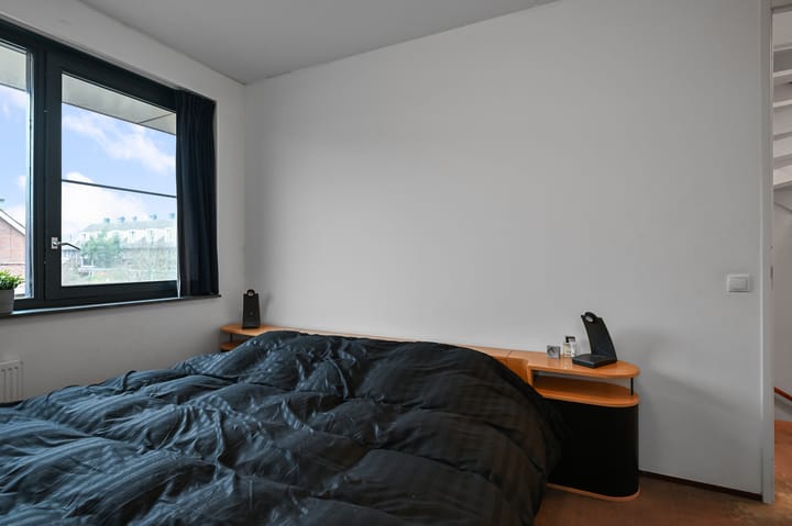 Foto 17 van Veldmuis 38