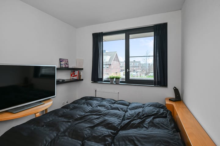 Foto 20 van Veldmuis 38