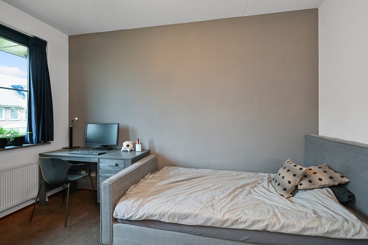 Foto 24 van Veldmuis 38