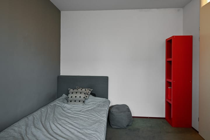 Foto 25 van Veldmuis 38