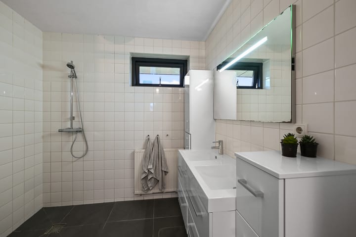 Foto 26 van Veldmuis 38