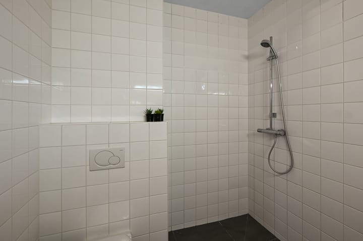 Foto 28 van Veldmuis 38