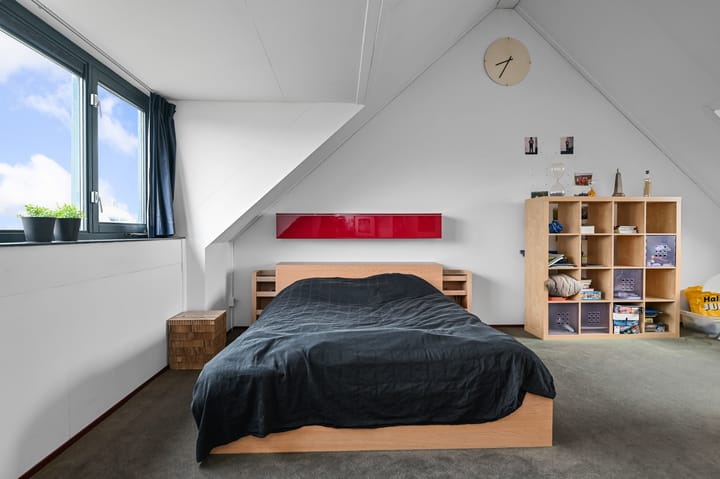 Foto 31 van Veldmuis 38