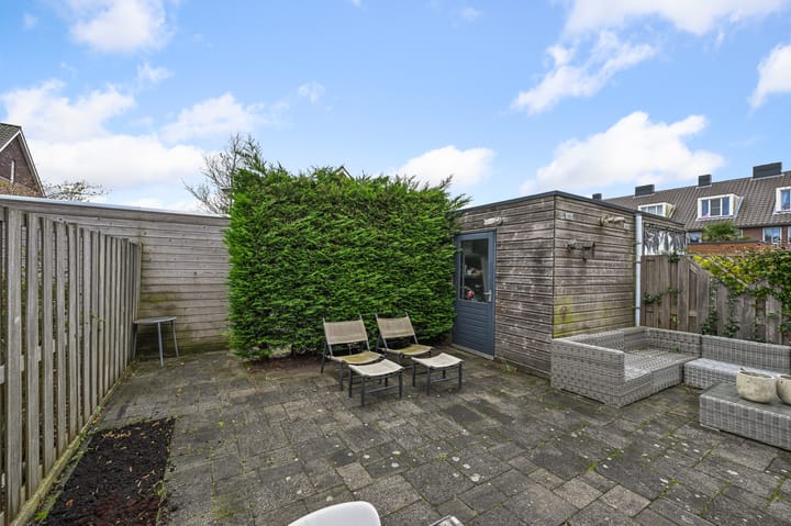 Foto 35 van Veldmuis 38