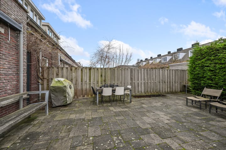 Foto 36 van Veldmuis 38