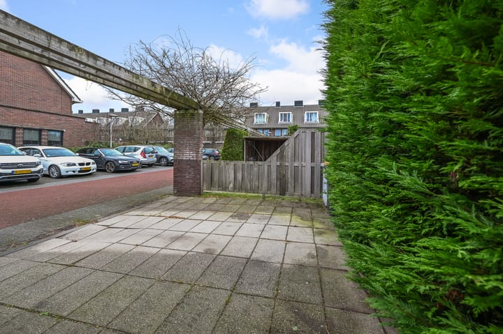 Foto 37 van Veldmuis 38