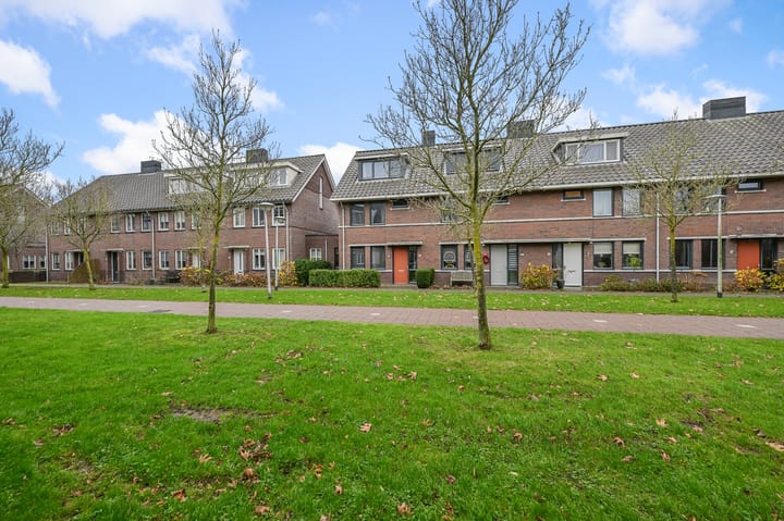 Foto 38 van Veldmuis 38