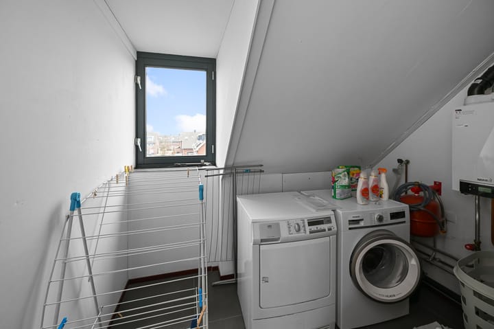 Foto 32 van Veldmuis 38