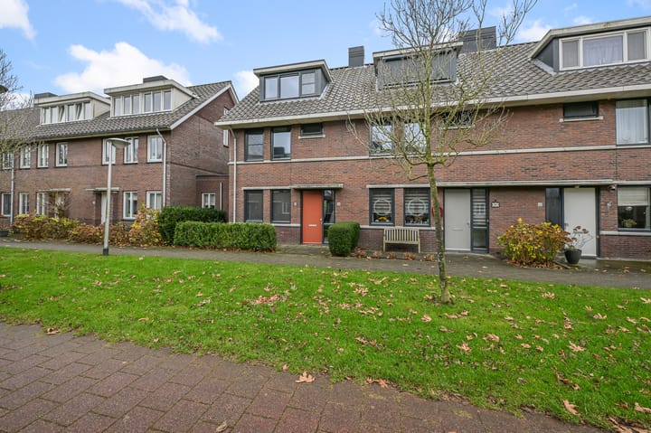 Foto 40 van Veldmuis 38