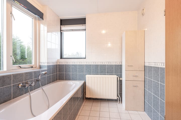 Foto 4 van Hollandse Hout 346