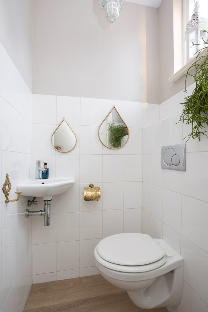 Foto 5 van Watersnip 66