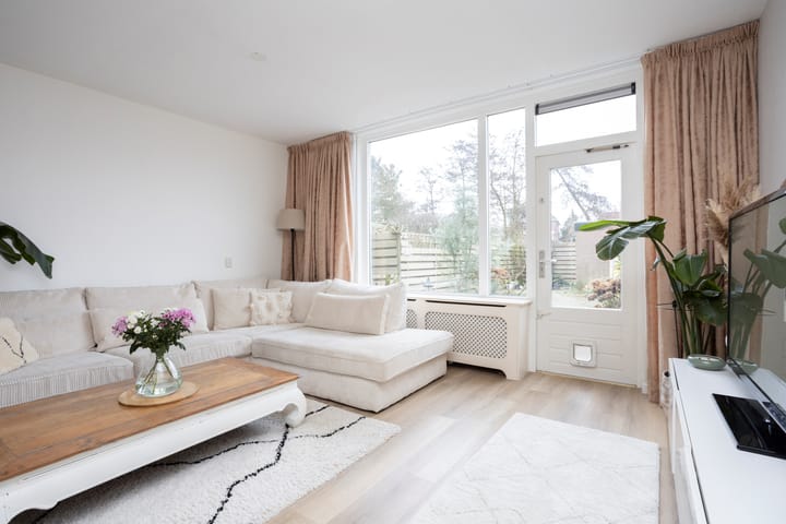 Foto 7 van Watersnip 66