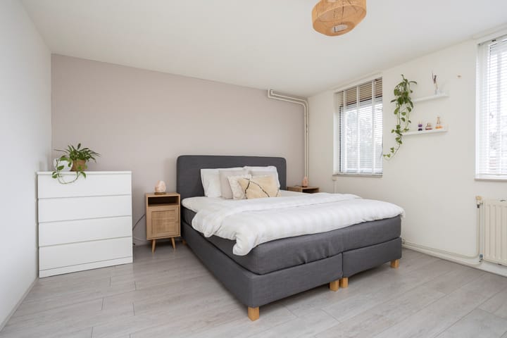 Foto 17 van Watersnip 66