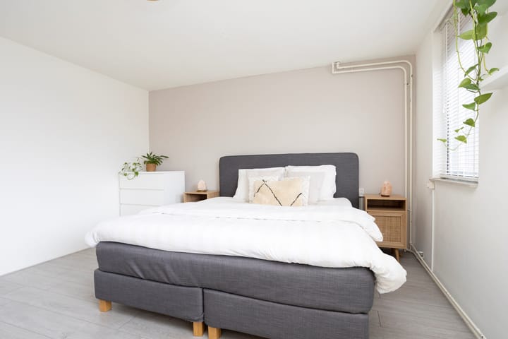 Foto 18 van Watersnip 66