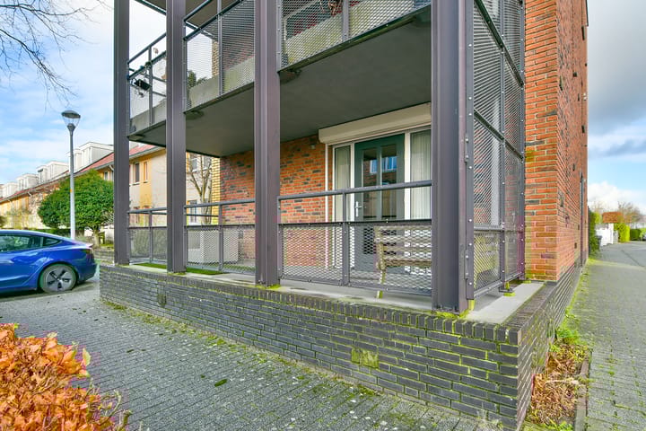 Foto 5 van Flamenco 2