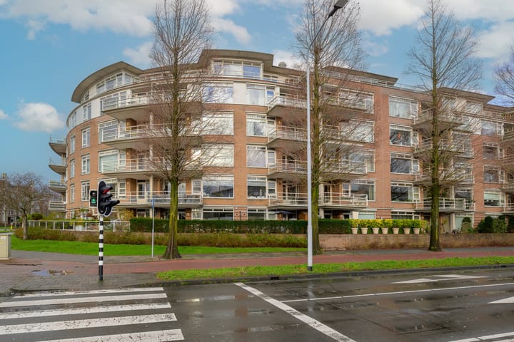 Foto 4 van Buizerdlaan 271