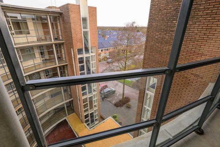 Foto 8 van Buizerdlaan 271