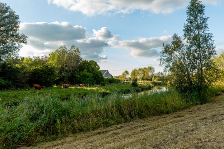 Foto 57 van Koedoodsekade 24