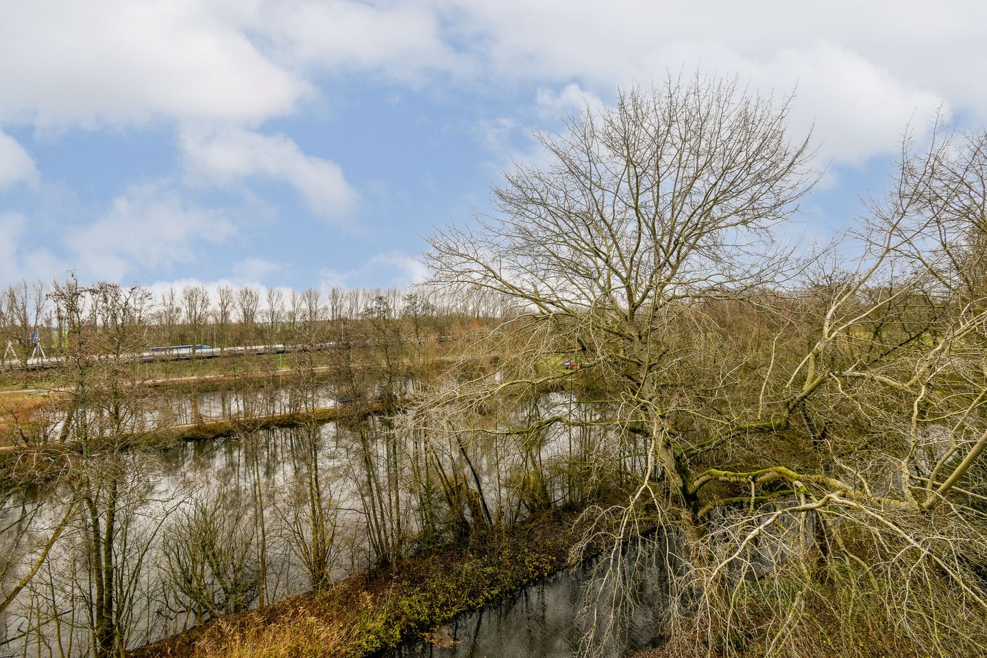 Foto 10 van Amerbos 72